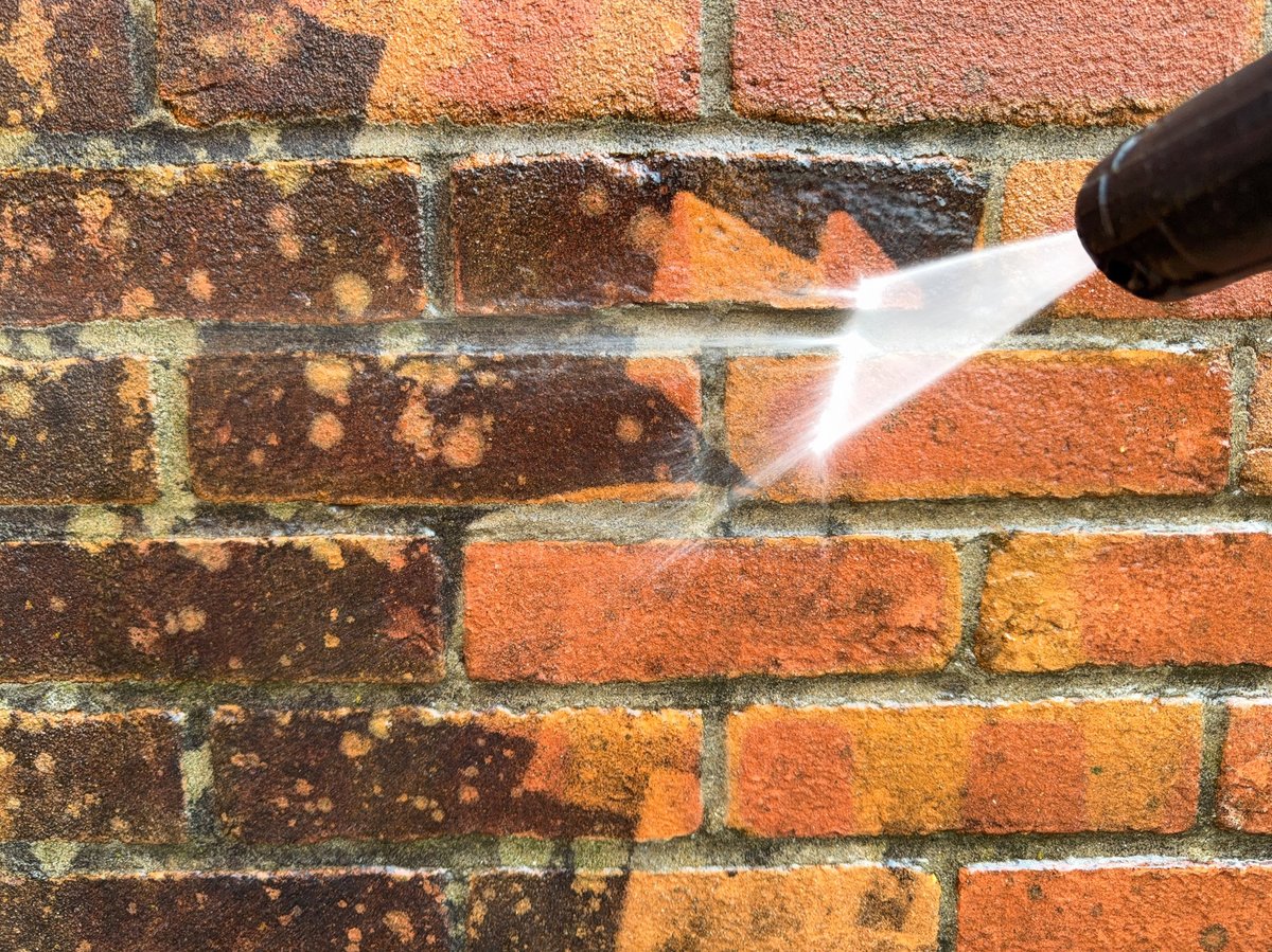 Close-up of dirty bricks on a garden wall before cleaning
